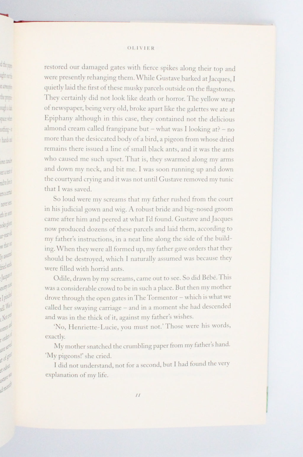 2010 Parrot and Olivia in America by Peter Carey