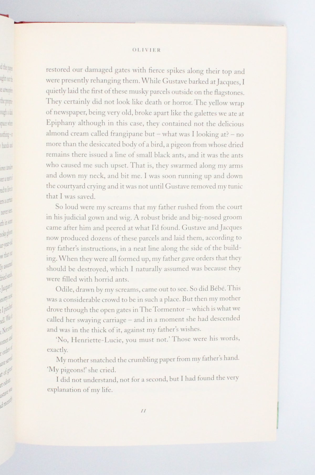2010 Parrot and Olivia in America by Peter Carey