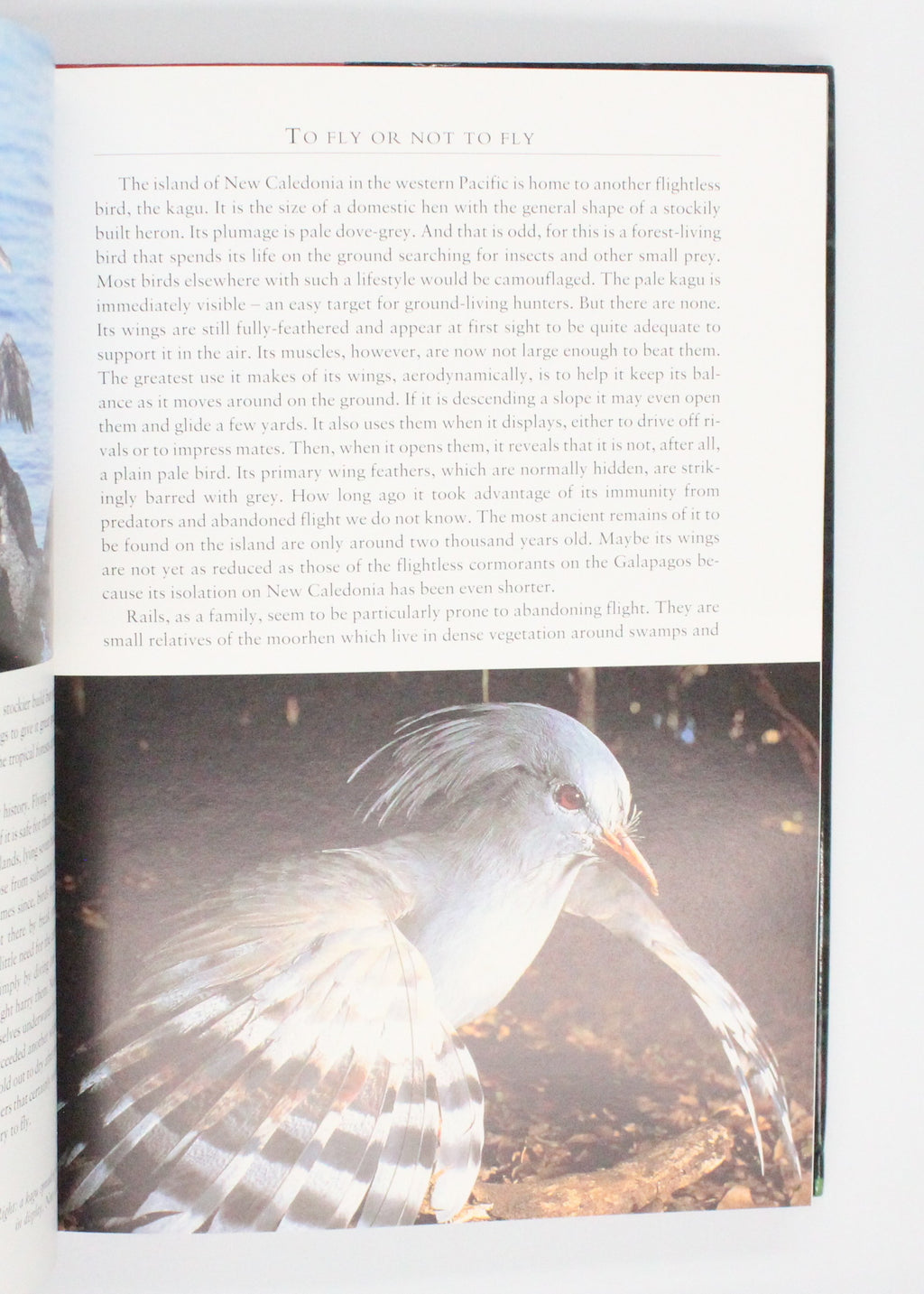 1998 The Life of Birds by David Attenborough