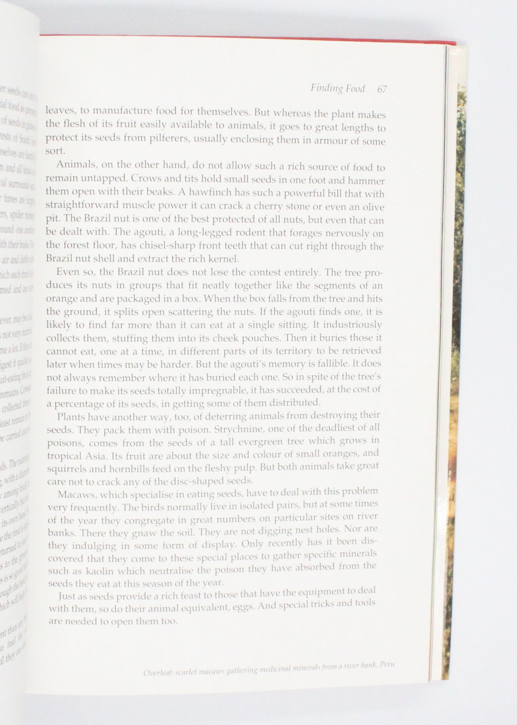 1990 The Trials of Life by David Attenborough