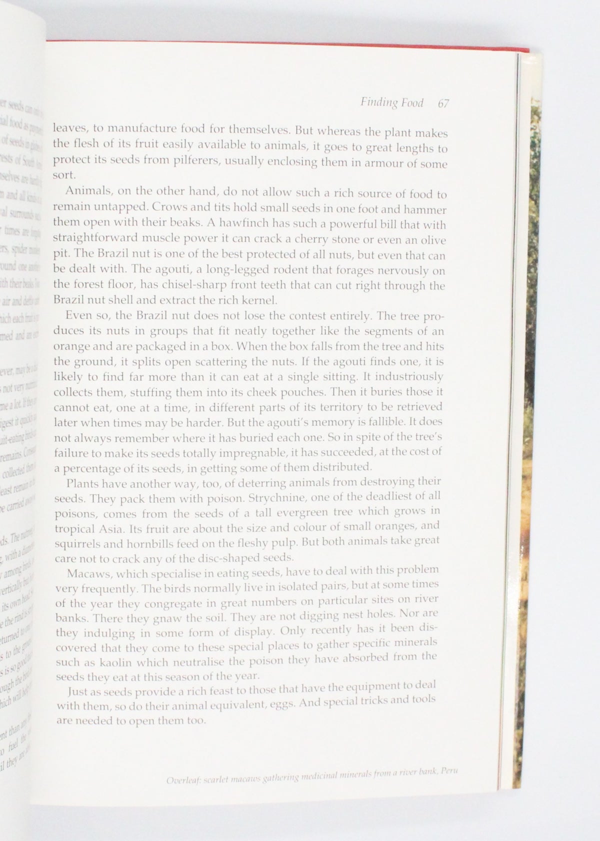 1990 The Trials of Life by David Attenborough