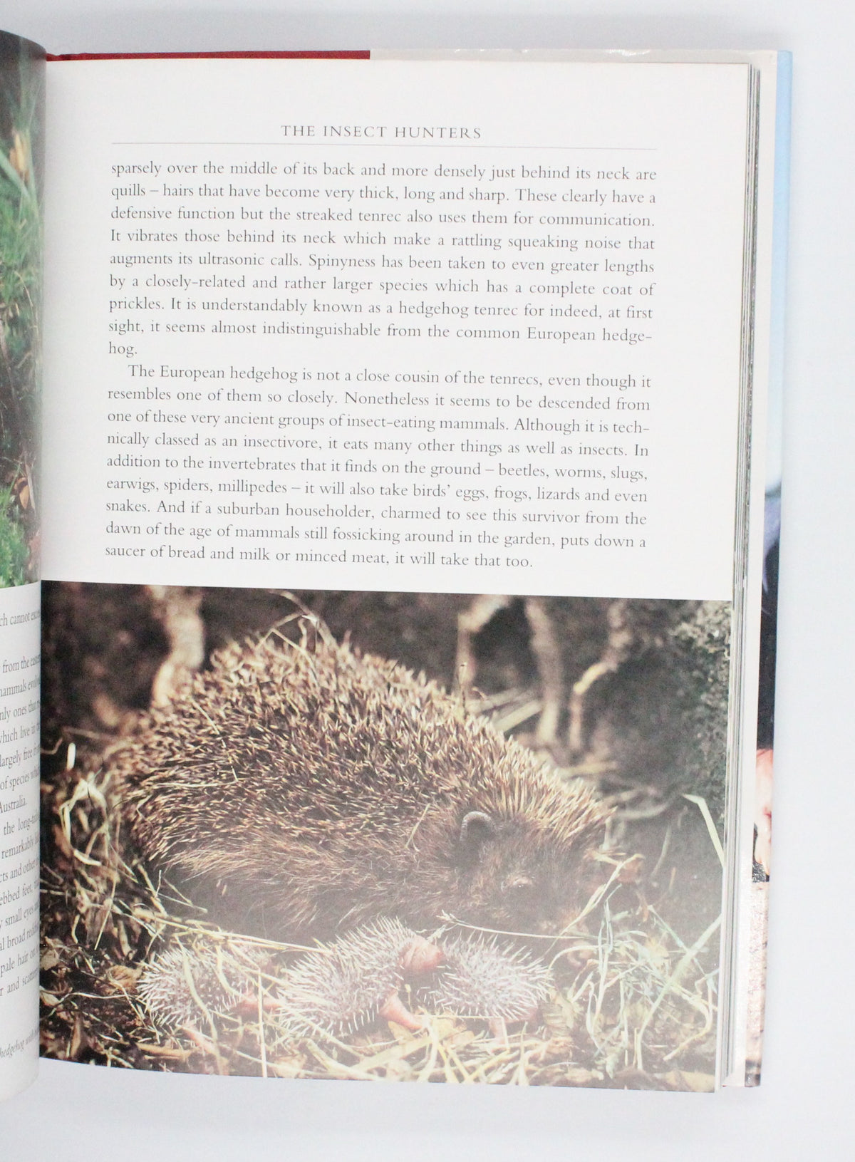2002 The Life of Mammals by David Attenborough