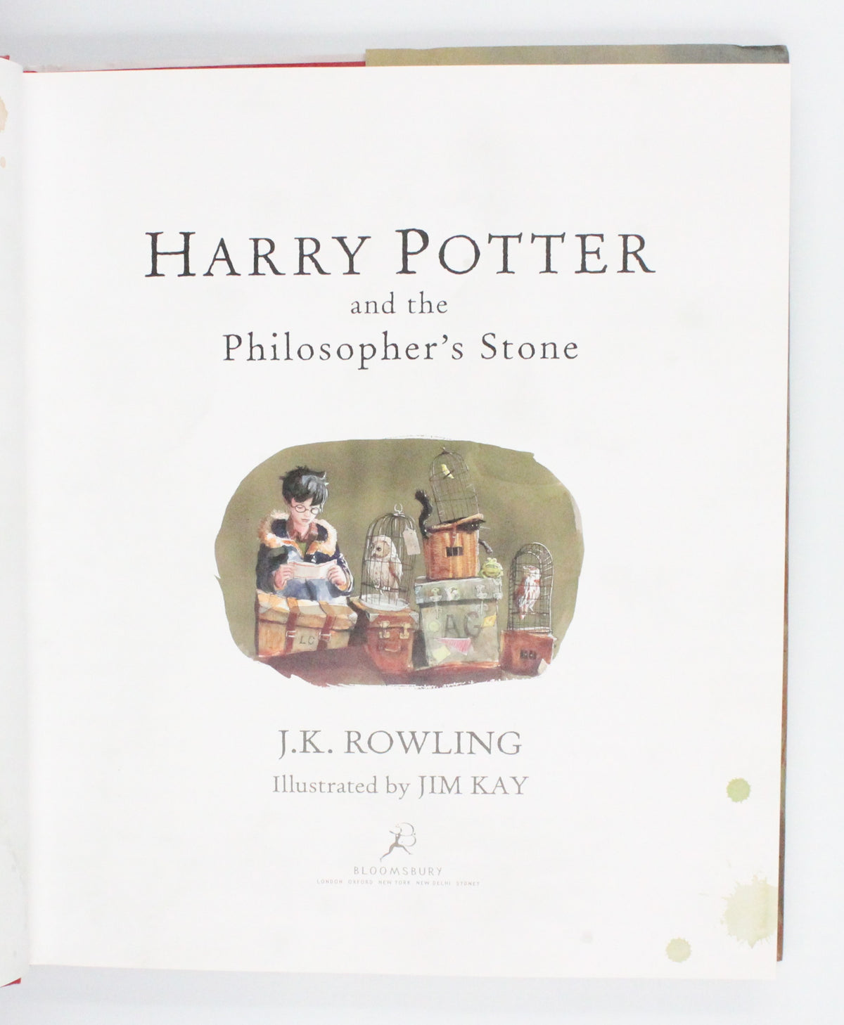 2015 Harry Potter and the Philosopher’s Stone by J. K. Rowling [Jim Kay illus.]