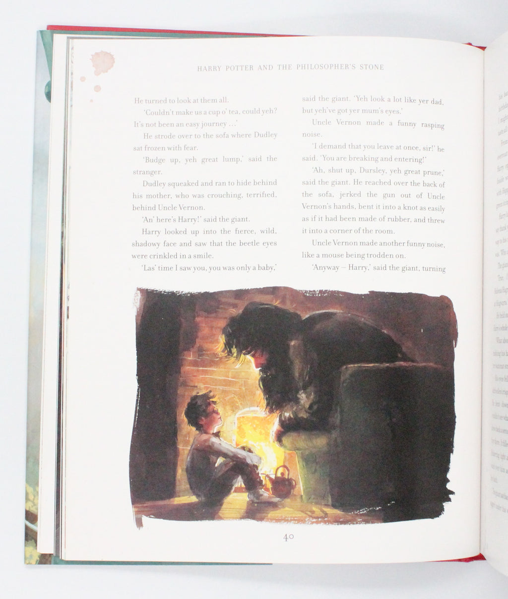 2015 Harry Potter and the Philosopher’s Stone by J. K. Rowling [Jim Kay illus.]