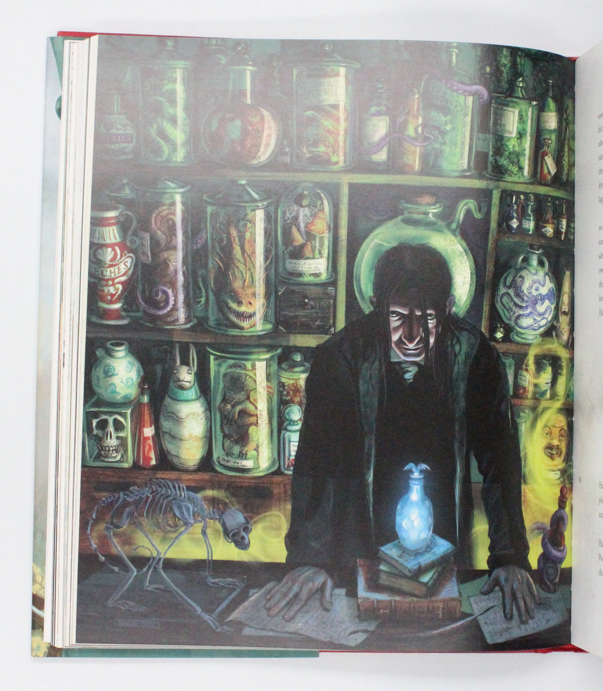 2015 Harry Potter and the Philosopher’s Stone by J. K. Rowling [Jim Kay illus.]