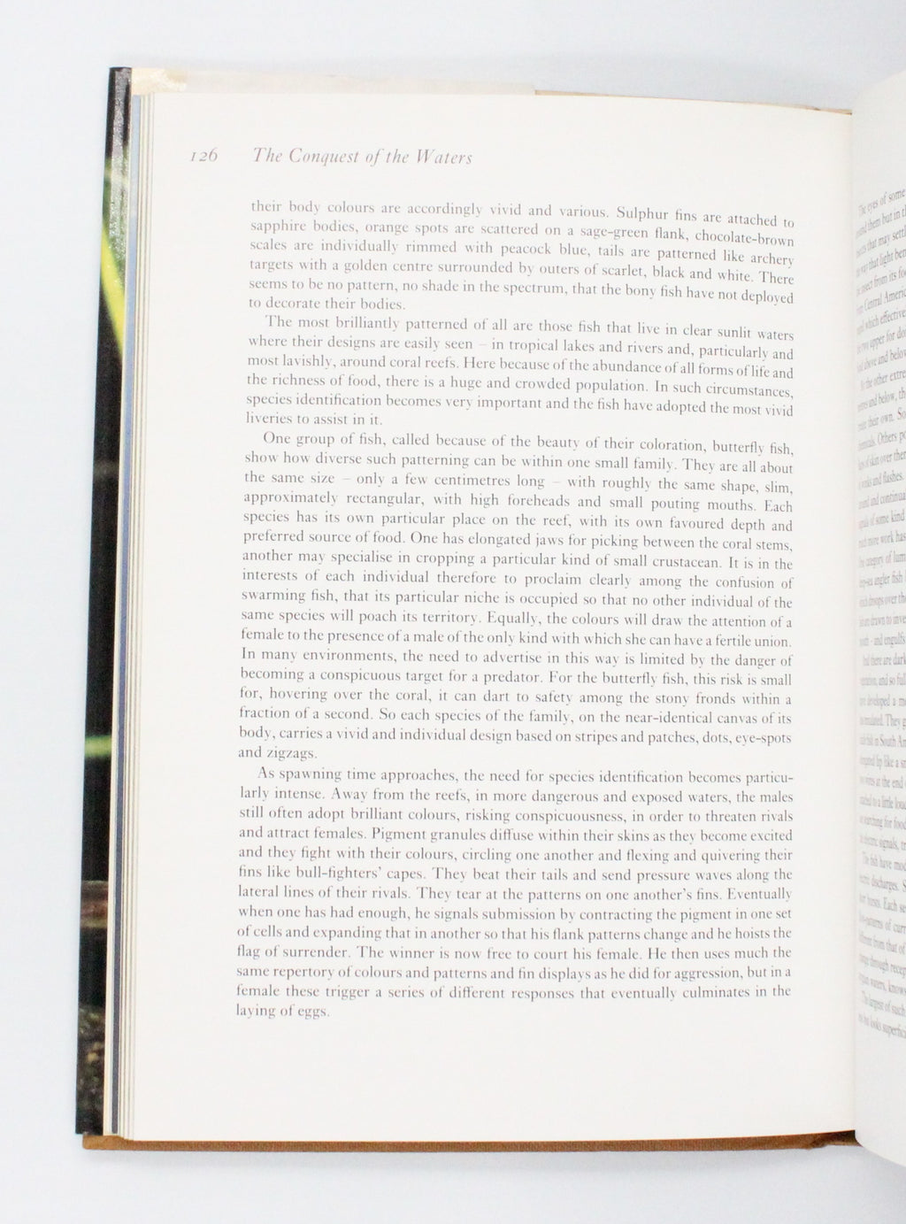 1979 Life on Earth by David Attenborough