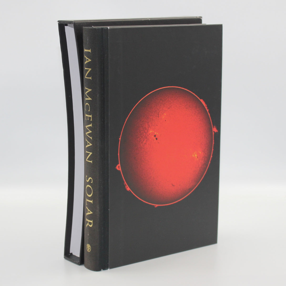 2010 Solar by Ian McEwan