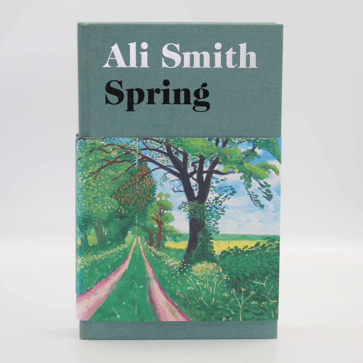 2019 Spring by Ali Smith