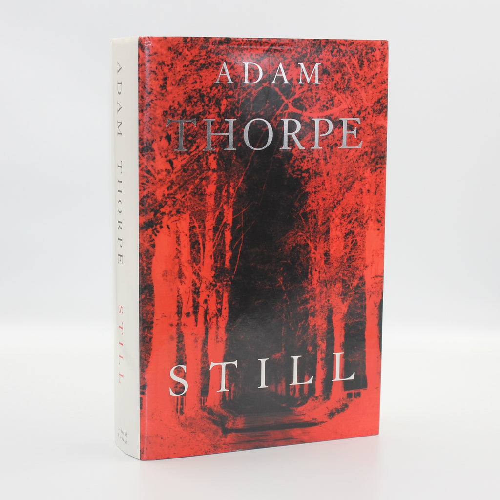 1995 Still by Adam Thorpe