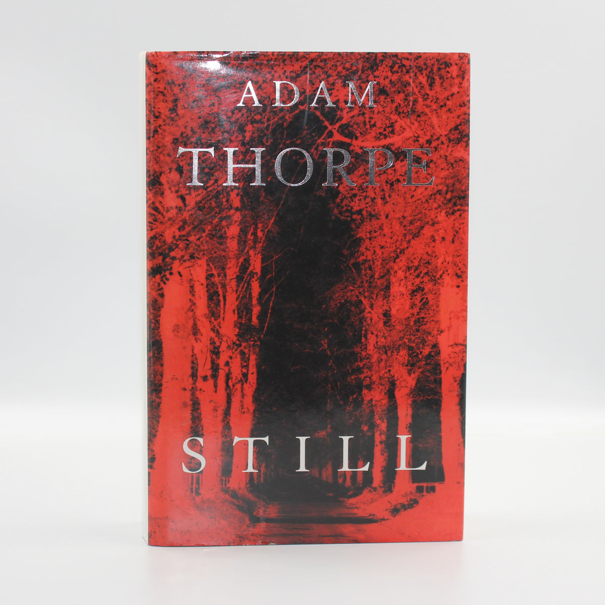 1995 Still by Adam Thorpe