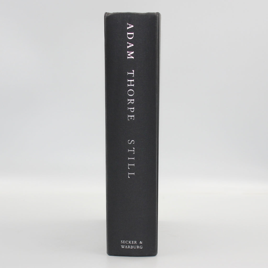 1995 Still by Adam Thorpe