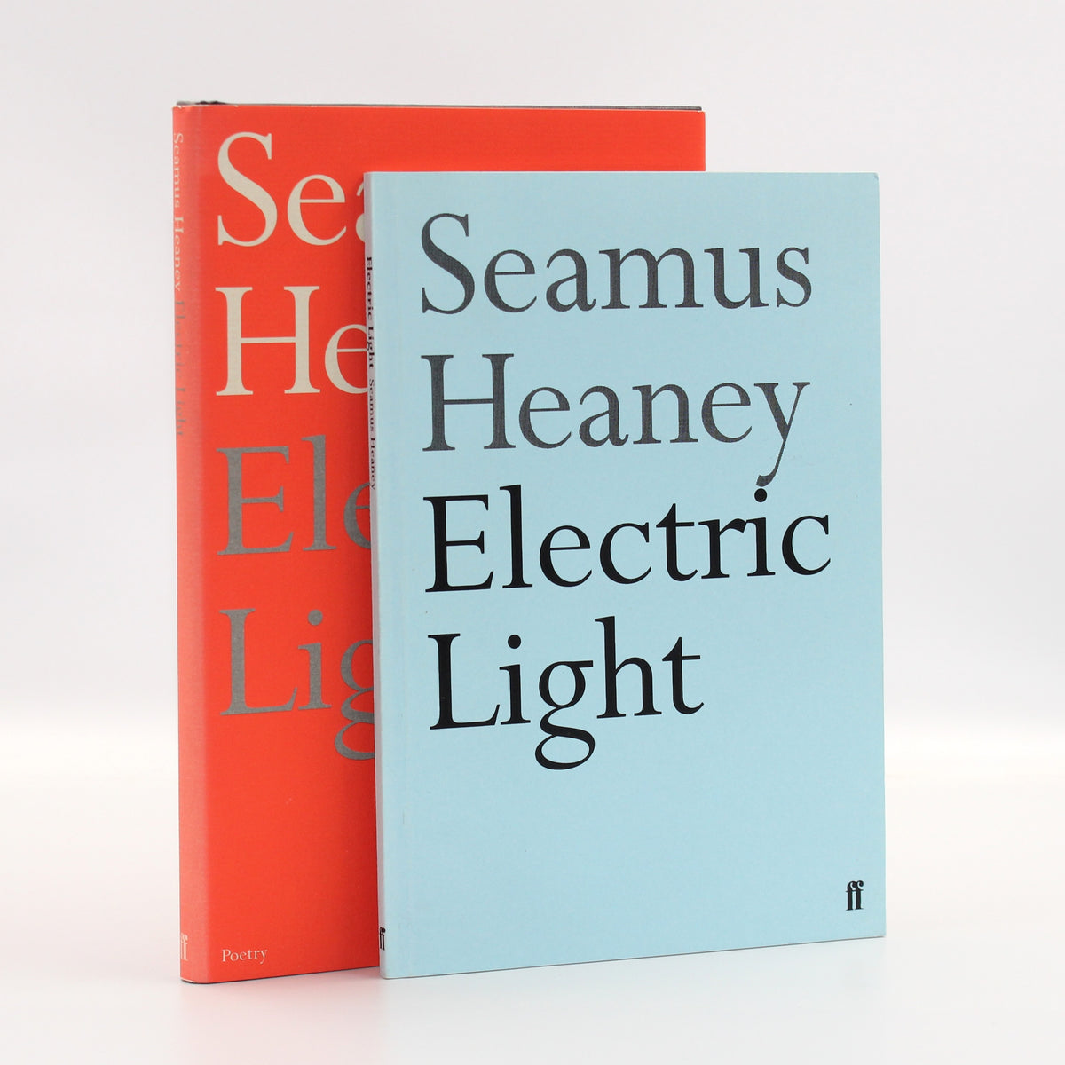 2001 Electric Light by Seamus Heaney