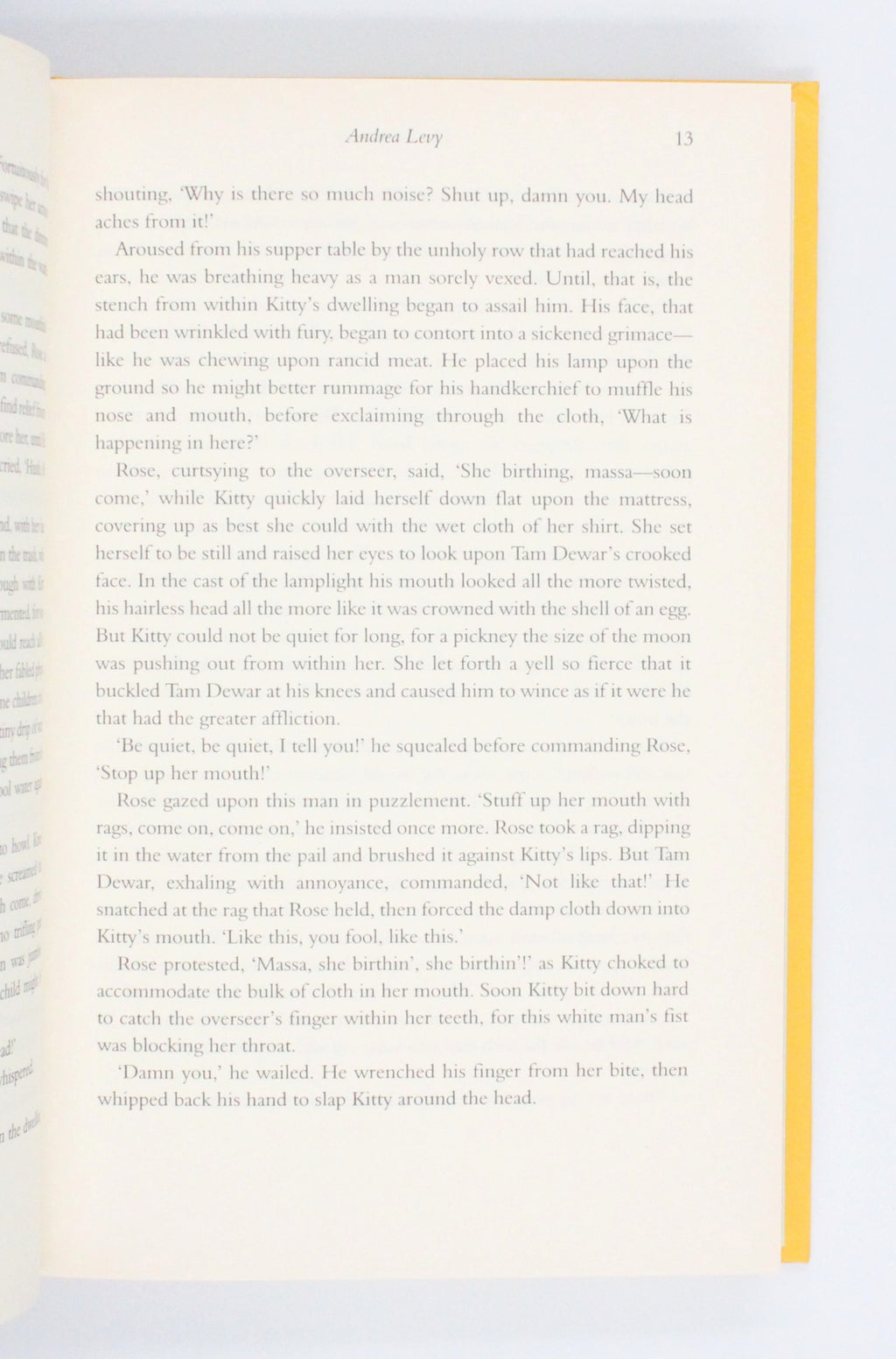 2010 The Long Song by Andrea Levy