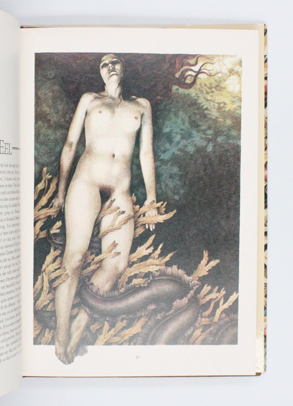 1980 The Iron Wolf and Other Stories by Richard Adams