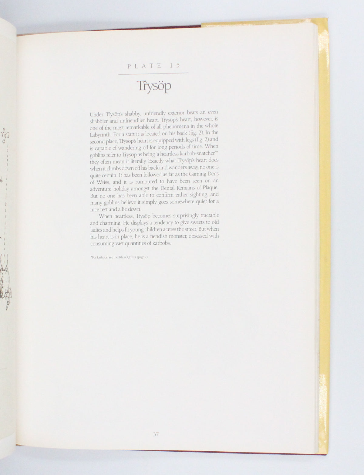 1986 Goblins of The Labyrinth by Brian Froud and Terry Jones