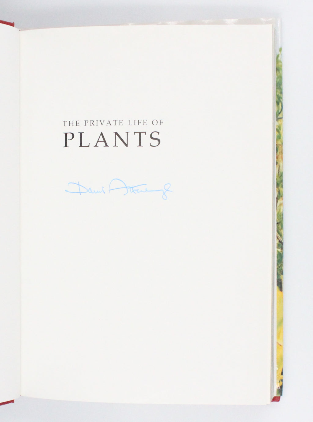 1995 The Private Life of Plants by David Attenborough