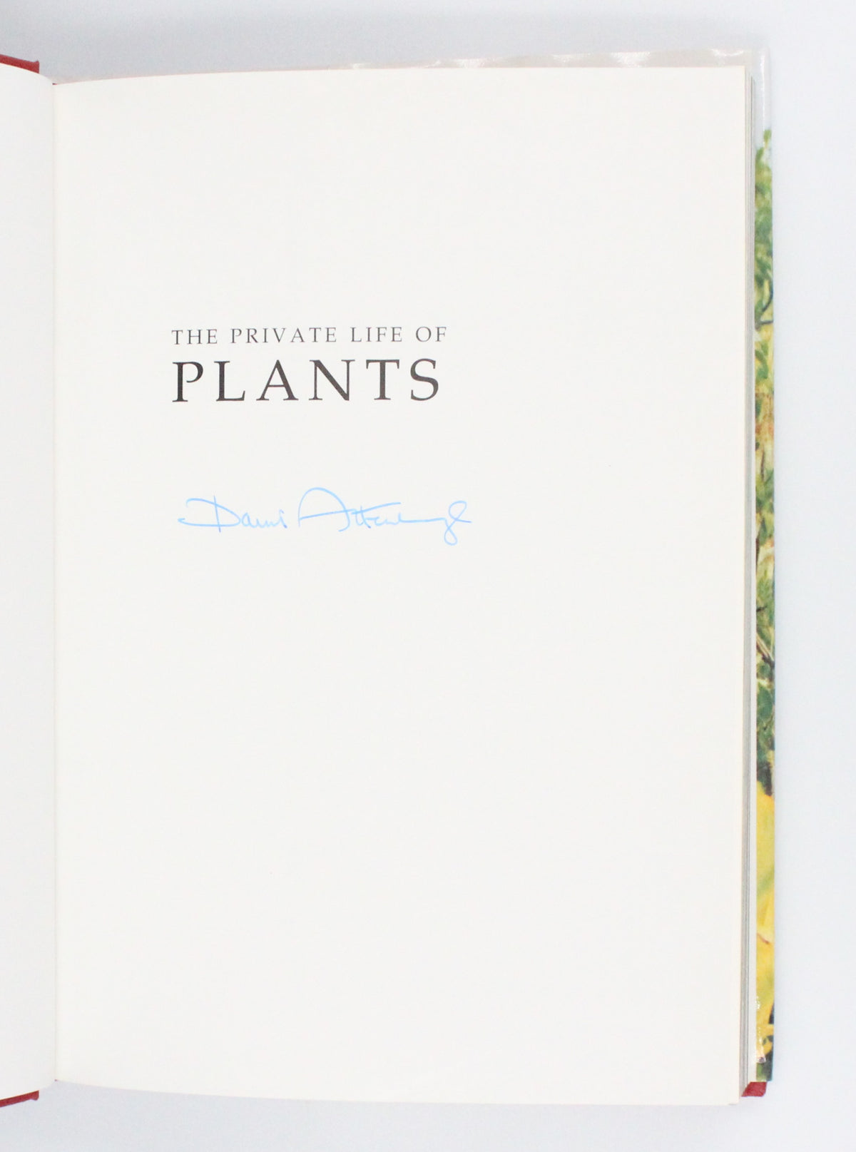1995 The Private Life of Plants by David Attenborough