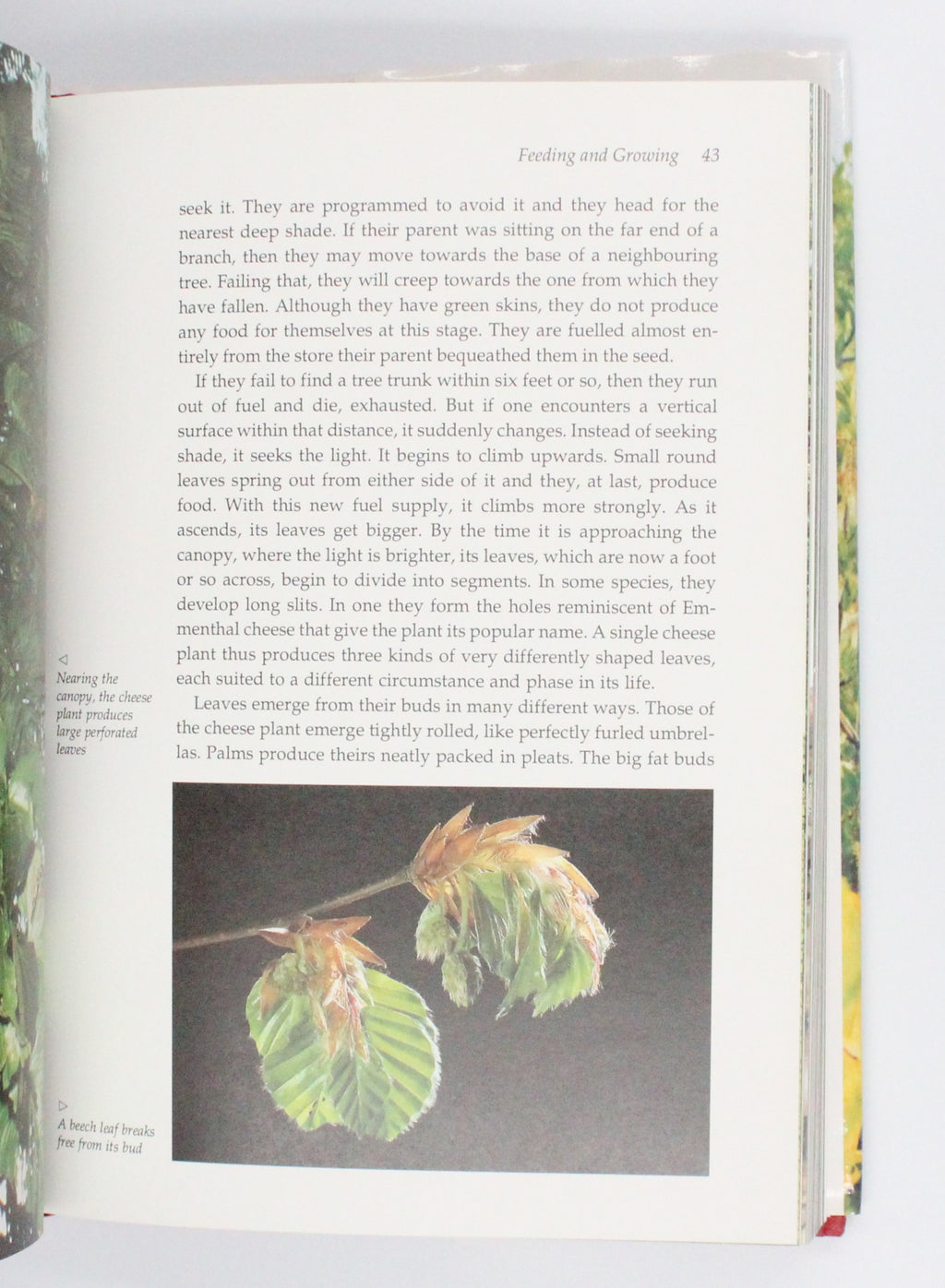 1995 The Private Life of Plants by David Attenborough