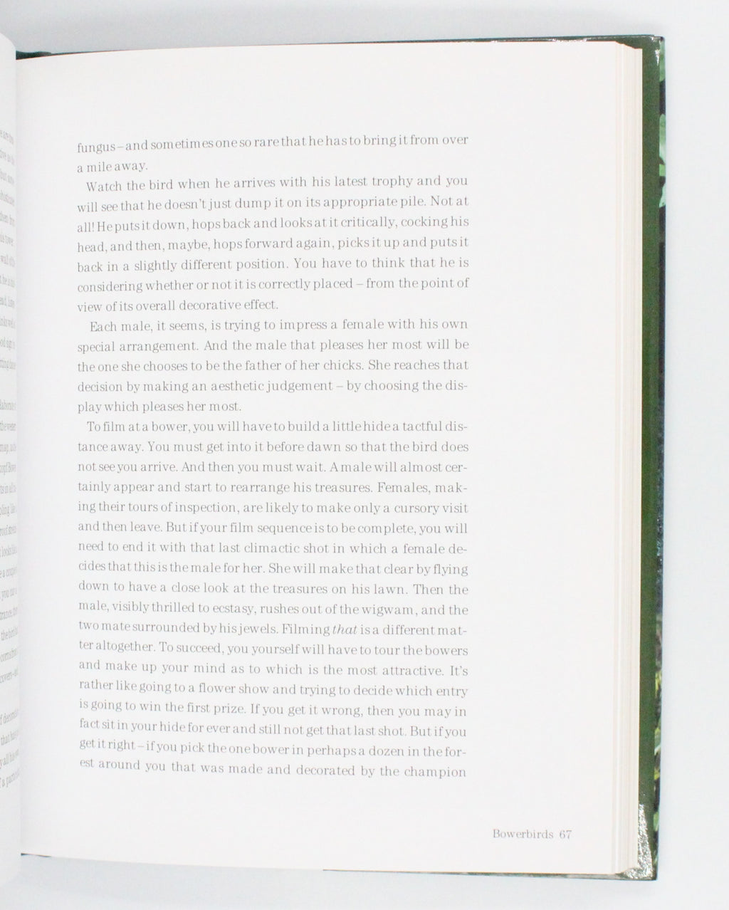 2009 Life Stories by David Attenborough