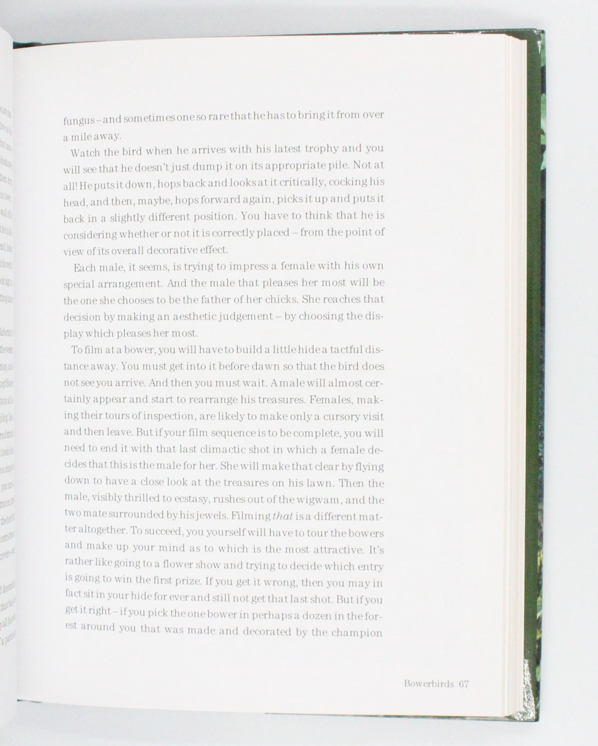 2009 Life Stories by David Attenborough