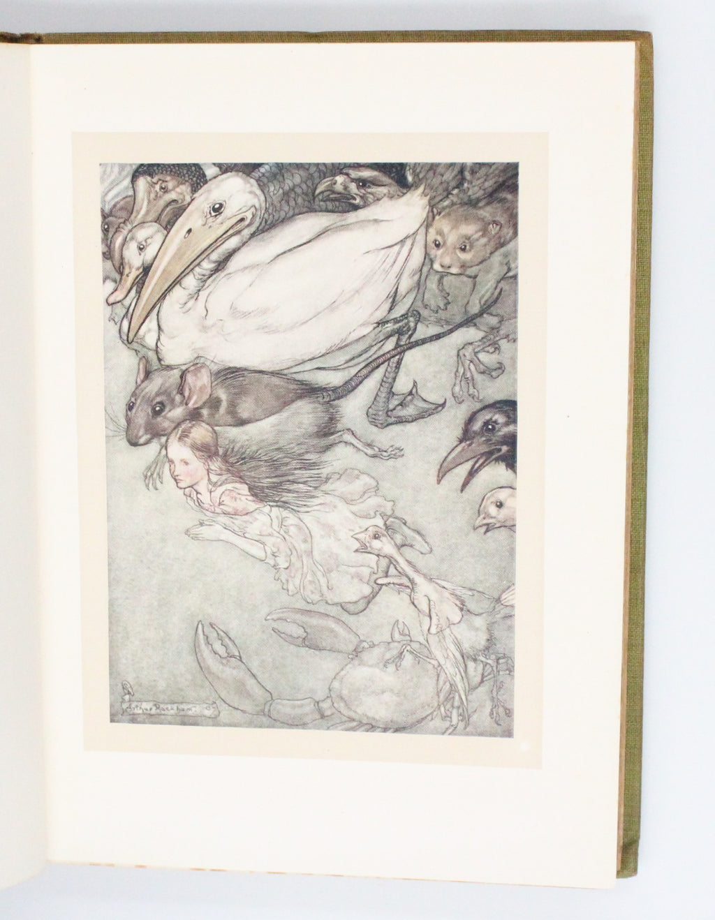 1907 Alice’s Adventures in Wonderland by Lewis Carroll [Arthur Rackham illus.]