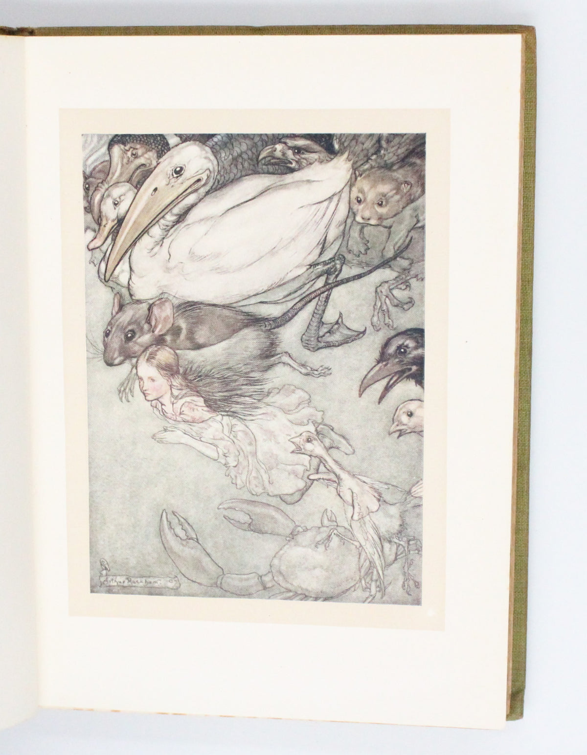 1907 Alice’s Adventures in Wonderland by Lewis Carroll [Arthur Rackham illus.]