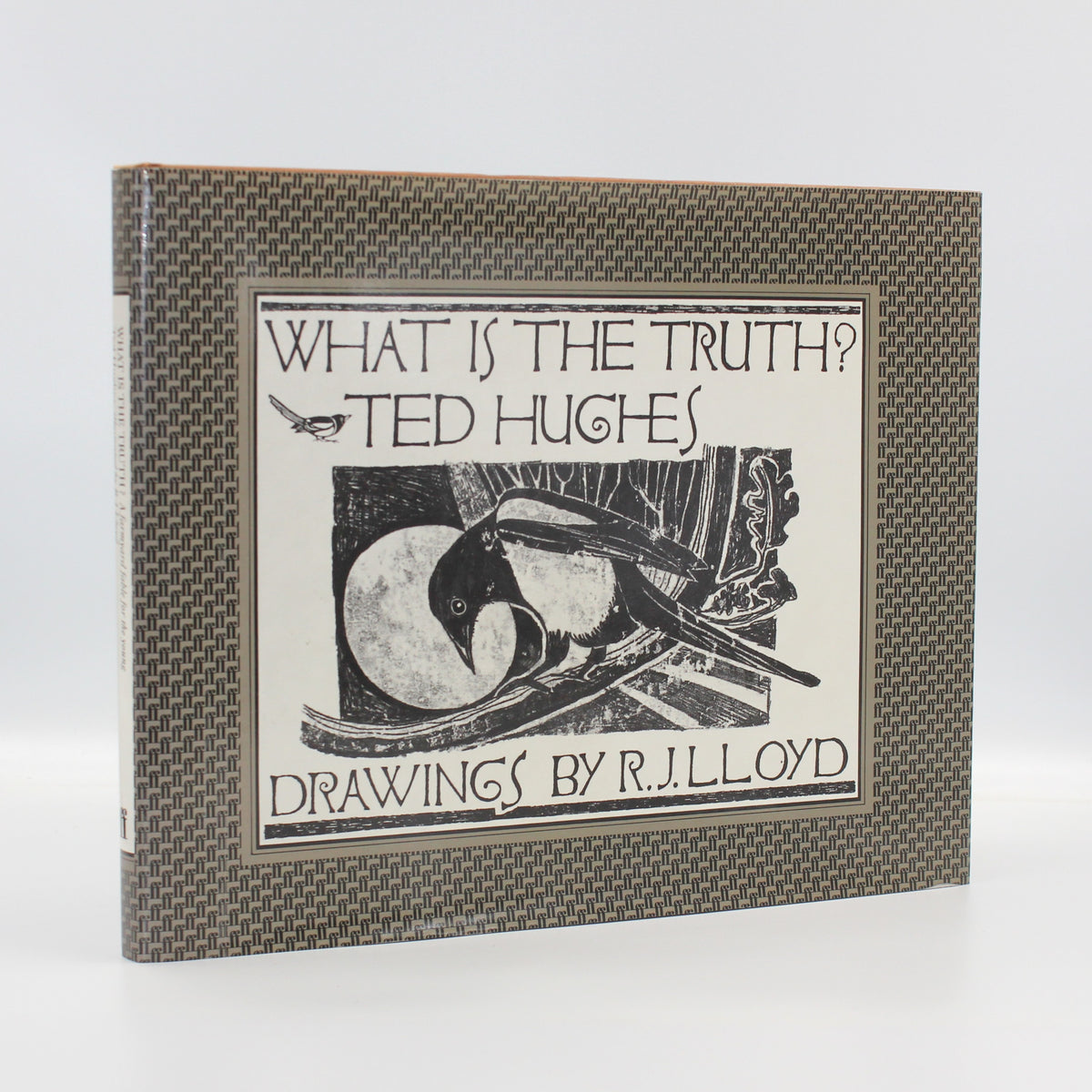 What Is The Truth? by Ted Hughes [R. J. Lloyd illus.]