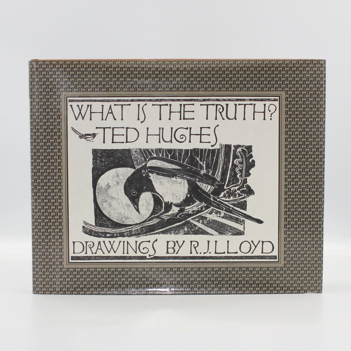 What Is The Truth? by Ted Hughes [R. J. Lloyd illus.]