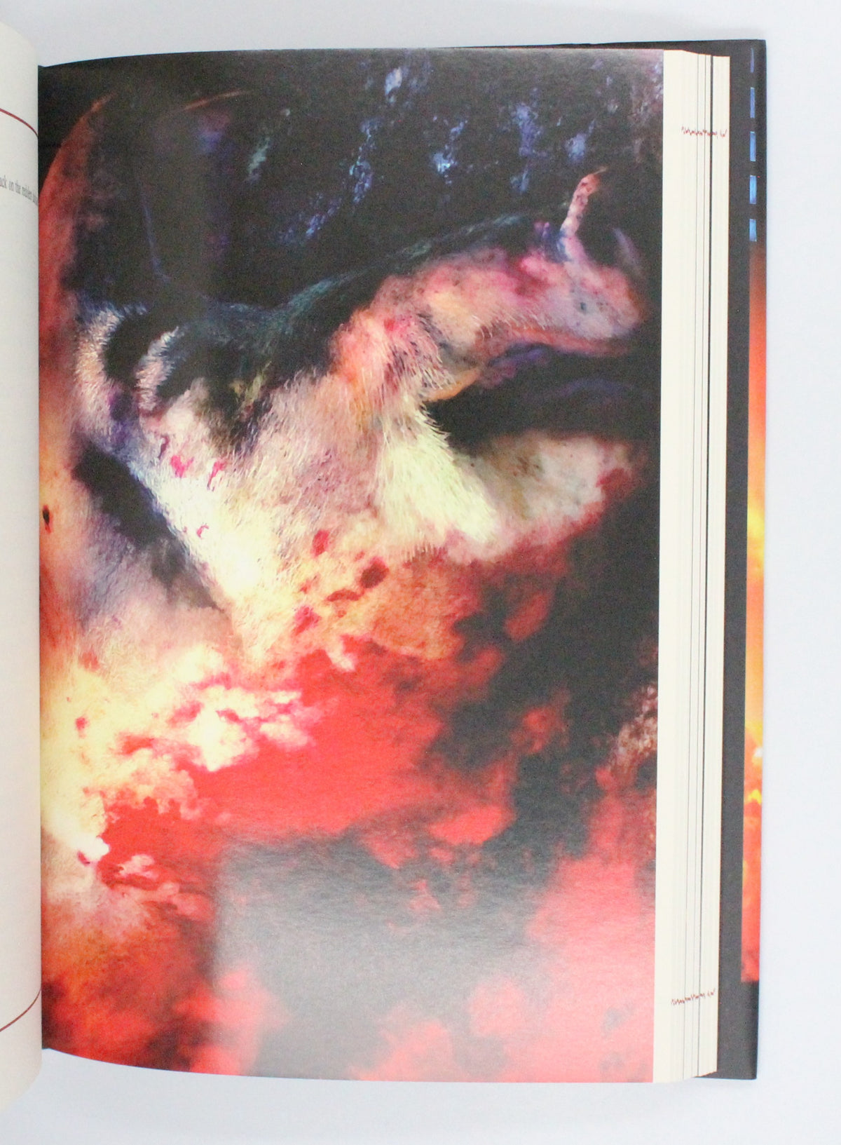 2014 Carrie by Stephen King